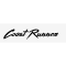 Coast Runner